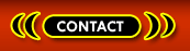 Transsexuals Phone Sex Contact El Paso